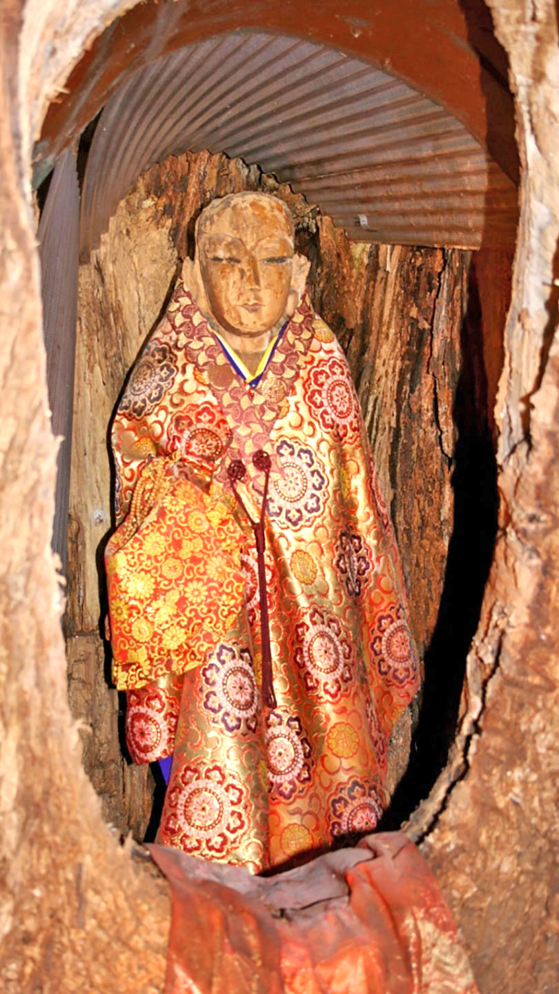 生木地蔵尊｜樹齢1200年の大きなクスノキ - 観音寺市観光協会